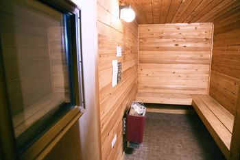 Sauna room